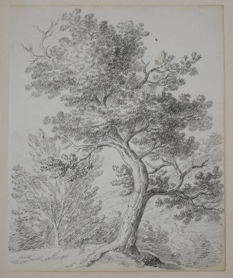 CONSTANTIN Jean-Antoine, dit Constantin d'Aix (1756-1844) - Photo 1