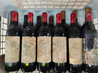 Des bouteilles de vin sont alignées dans un panier en fil de fer posé sur une étagère