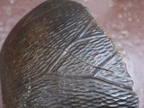 un gros plan sur une sculpture représentant un oiseau posée sur une table