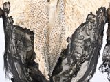 an image of a black and white dress with lace on it