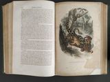an open book with a picture of a snake on it