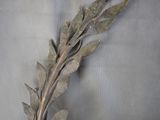 a plant that has been placed on a table