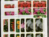une photo d'une photo représentant des fleurs sur une feuille de papier