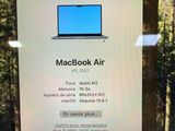 a sign on a tree that says macbook air
