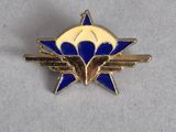 une broche de revers ornée d'une fleur bleue et blanche