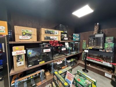 On trouve de nombreux types d'aquariums dans ce magasin