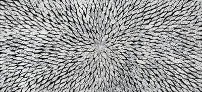photographie en noir et blanc représentant un motif circulaire formé de feuilles