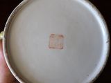 a person holding a white bowl with a brown spot on it