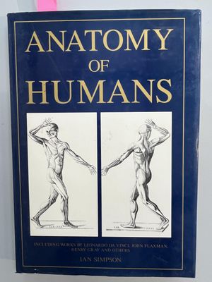 an anatomy of humans, with illustrations of the human body