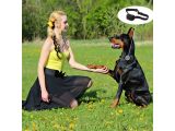 a woman that is kneeling down with a dog
