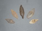 Plusieurs types de pointes de flèches sont exposés sur une surface grise