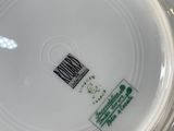 a white plate with a green and white design on it