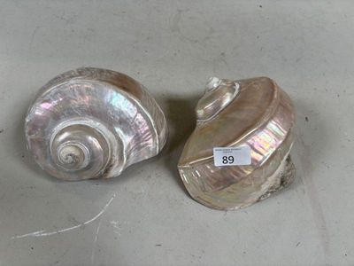 une paire de coquillages en argent exposés dans un magasin