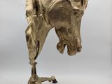 an image of a sculpture of a bull head on a tripod