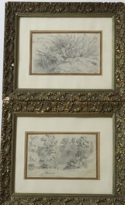deux dessins encadrés représentant des arbres et des buissons, dans un cadre doré