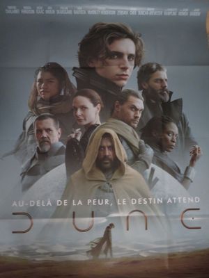 affiche de film représentant un homme barbu vêtu d'un sweat à capuche