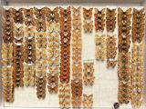 many butterflies that are on display in a white frame
