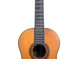 une image représentant une guitare sur fond blanc, avec un fond blanc