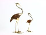 deux oiseaux qui se tiennent l'un à côté de l'autre