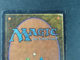a close up of a game card with a picture of a cat