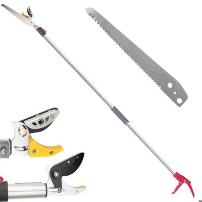 il existe de nombreux outils différents qui peuvent servir à abattre un arbre