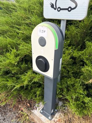 an image of a parking meter in front of a bush