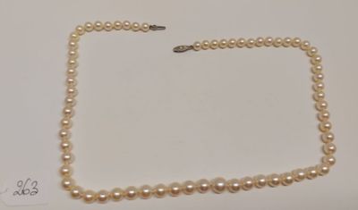 gros plan d'un collier de perles blanches sur une surface blanche