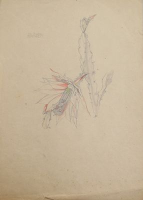 un vieux livre sur la couverture duquel est dessiné un oiseau