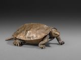 figurine en bronze représentant une tortue sur fond gris