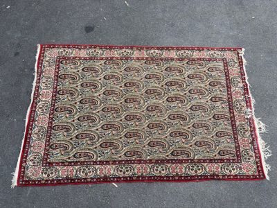 a rug with a red border and a paisley design on it