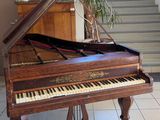 un piano à queue trônant au milieu d'un salon