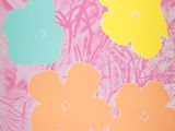 four flowers in pink, yellow, blue, and orange on a pink background