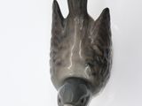 a bird head mounted on the wall of a bathroom