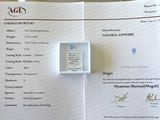 une photo d'un certificat sur laquelle figure la photo d'une personne