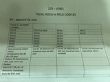 a picture of a sheet of paper with a list of voting numbers