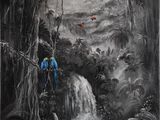 peinture en noir et blanc représentant deux perroquets perchés sur un arbre devant une cascade