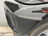 a close up of a car ' s front bumper with a dog on it