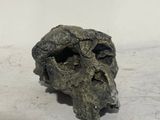 a small rock with a face on it sitting on a table