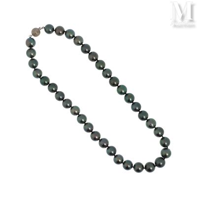 Collier perles de Tahiti Collier de perles de Tahiti, le fer…