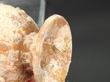 a person holding a piece of bread in their hand