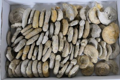 a box full of rocks that are sitting in a box