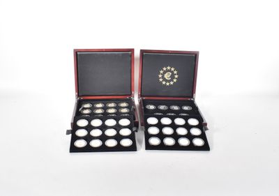 a pair of silver and gold coins in a black case