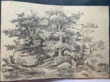 an old drawing of a tree in a wooded area with rocks and trees