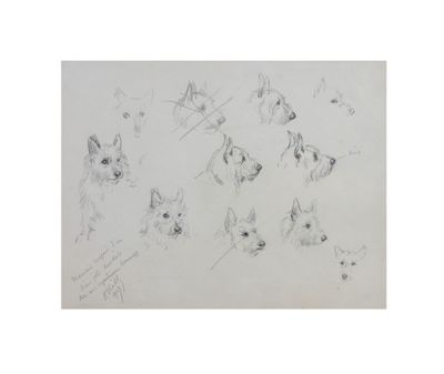 sketches of a dog ' s head and a cat ' s face by person