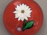 a red ball with a white flower and a green leaf on it