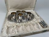 a silver tray with six shot glasses in it