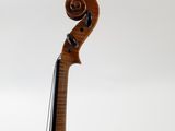 a close up of a violin on a white background