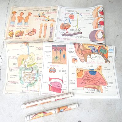 a picture of a book with pictures of different parts of the body