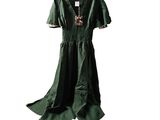 a picture of a green dress on a hanger
