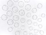 a lot of bubbles floating in the air on a white surface